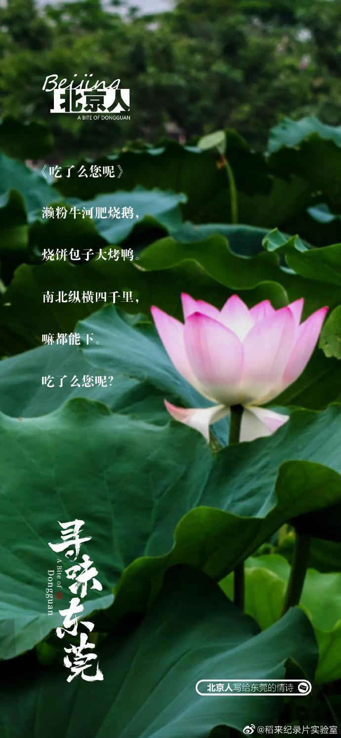 美食紀(jì)錄片《尋味東莞》收官,這35封走心“情詩”我給滿分 美食紀(jì)錄片《尋味東莞》收官,這35封走心“情詩”我給滿分