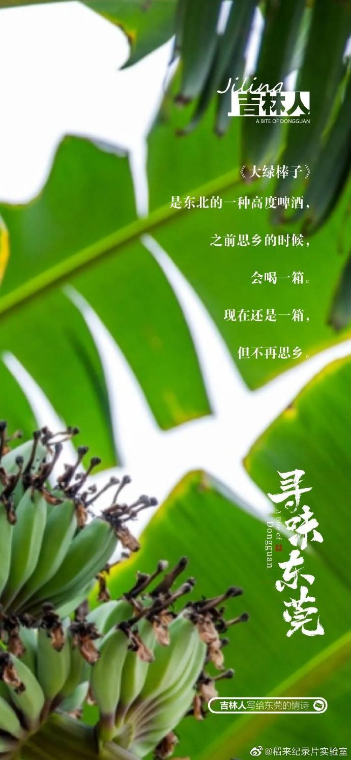 美食紀(jì)錄片《尋味東莞》收官,這35封走心“情詩”我給滿分 美食紀(jì)錄片《尋味東莞》收官,這35封走心“情詩”我給滿分