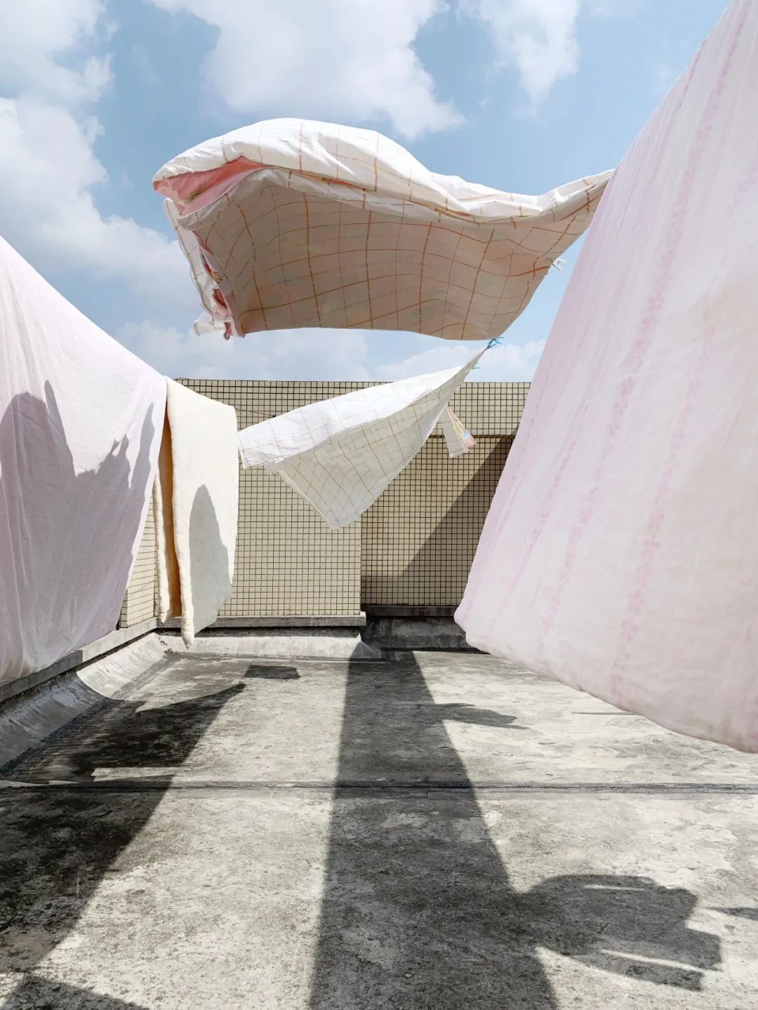 視覺盛宴!2020年iPhone攝影大賽獲獎作品揭曉【完整版】 視覺盛宴!2020年iPhone攝影大賽獲獎作品揭曉【完整版】