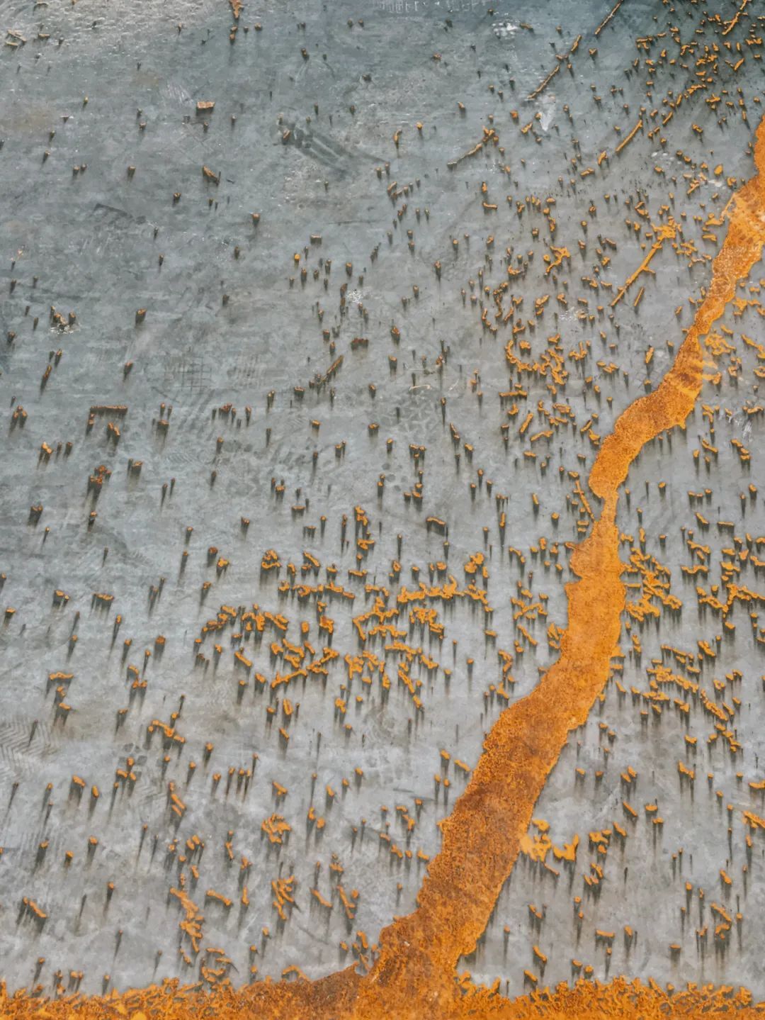 視覺盛宴!2020年iPhone攝影大賽獲獎作品揭曉【完整版】 視覺盛宴!2020年iPhone攝影大賽獲獎作品揭曉【完整版】