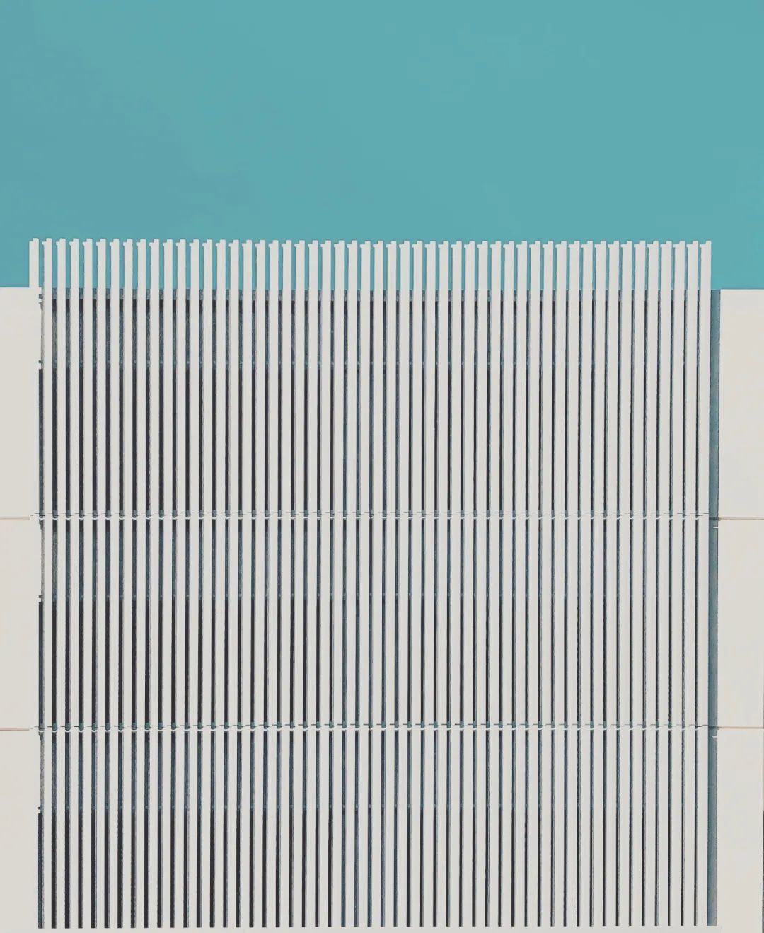 視覺盛宴!2020年iPhone攝影大賽獲獎作品揭曉【完整版】 視覺盛宴!2020年iPhone攝影大賽獲獎作品揭曉【完整版】