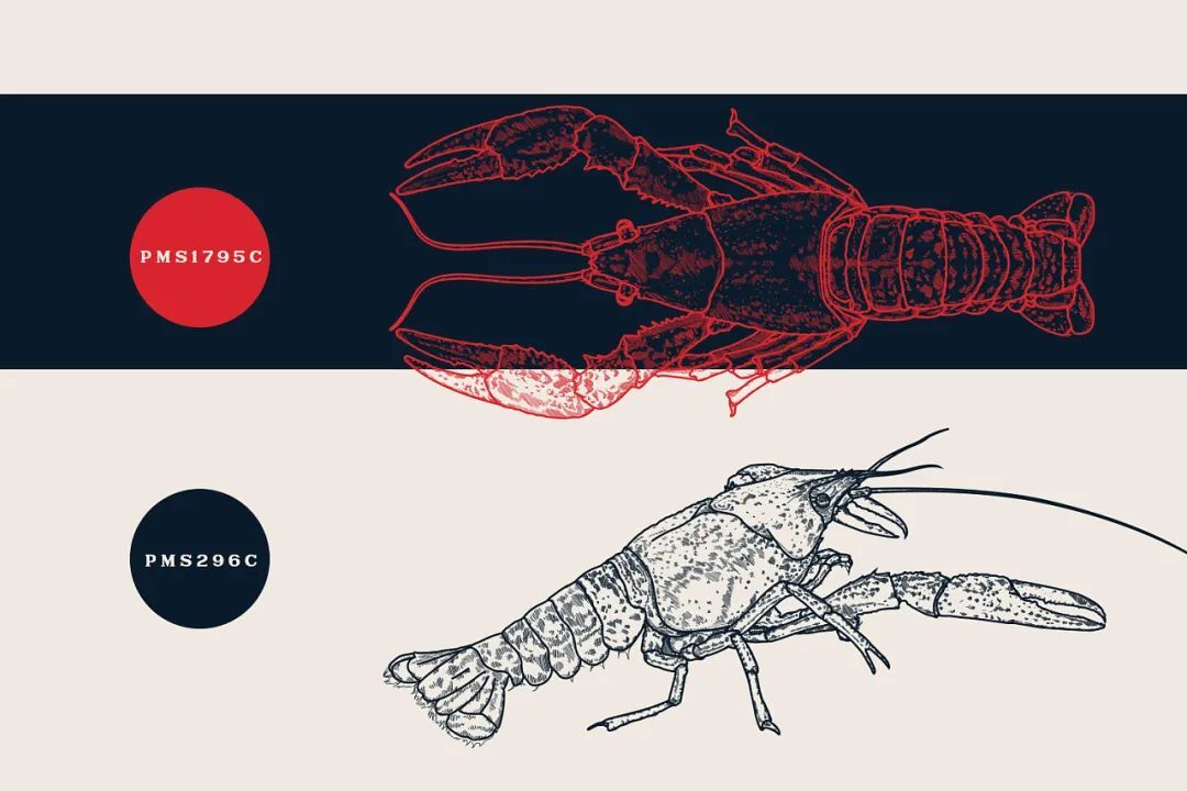 1596189979788294.jpg 1596189979788294.jpg