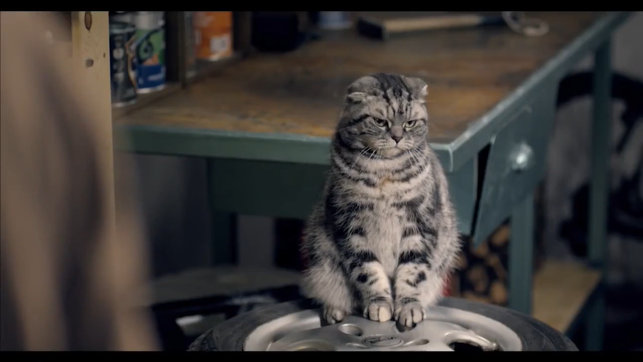 1595764291554785.png 1595764291554785.png