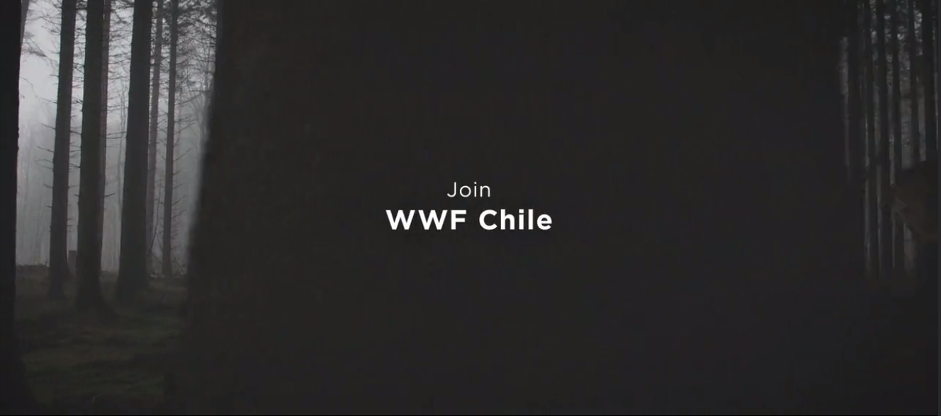 1606284231788179.png 1606284231788179.png