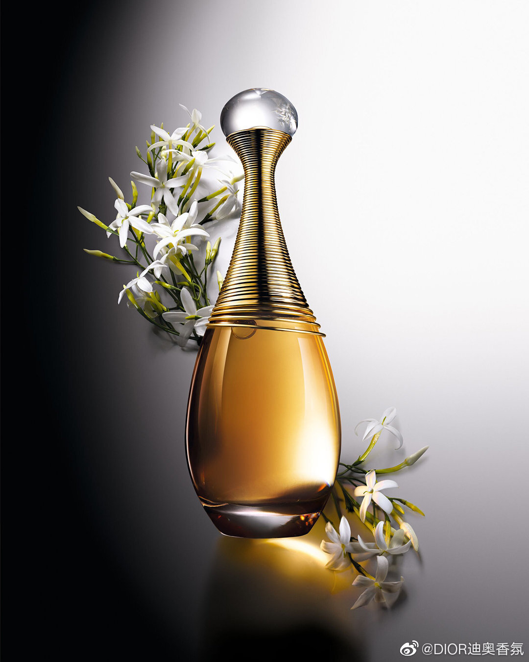 迪奧真我香水廣告片,邀請11位女性傳遞榜樣力量 迪奧真我香水廣告片,邀請11位女性傳遞榜樣力量