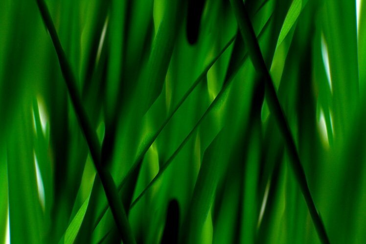 拍出抽象藝術相片的5個技巧 拍出抽象藝術相片的5個技巧