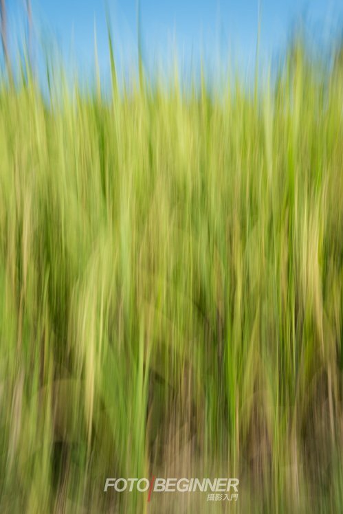 拍出抽象藝術相片的5個技巧 拍出抽象藝術相片的5個技巧