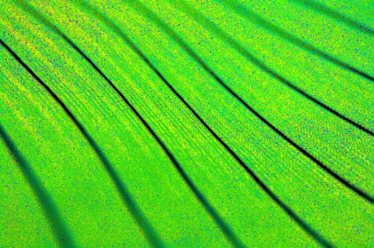 拍出抽象藝術相片的5個技巧 拍出抽象藝術相片的5個技巧