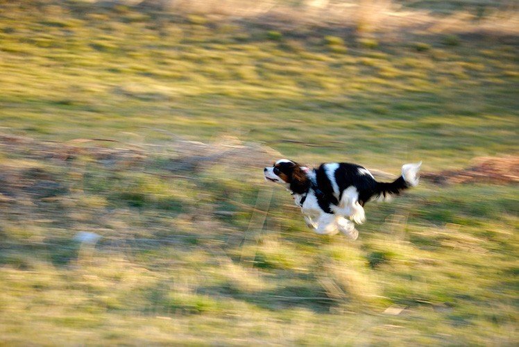 慢快門手持拍出精彩相片的技巧 慢快門手持拍出精彩相片的技巧