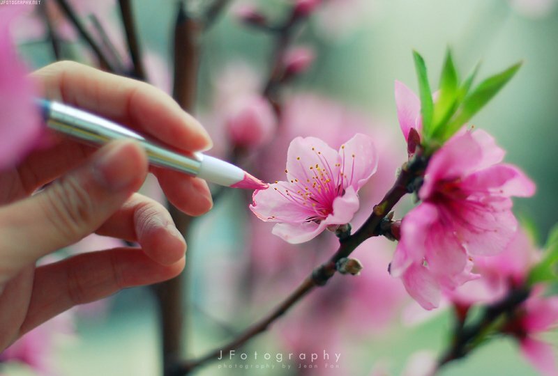 拍出完美錯覺相片的技巧 拍出完美錯覺相片的技巧