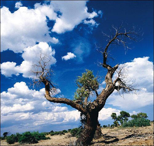 風(fēng)景攝影的拍攝秘訣 風(fēng)景攝影的拍攝秘訣