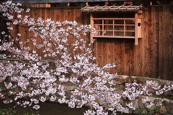 化腐朽為神奇的建筑攝影構圖