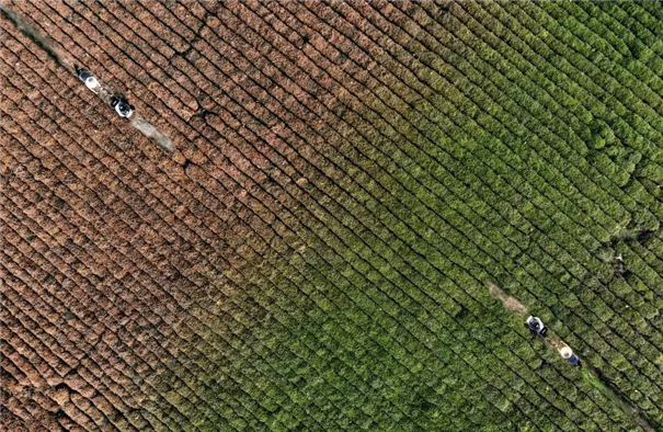 手把手教你把照片打造成超現(xiàn)實主義！