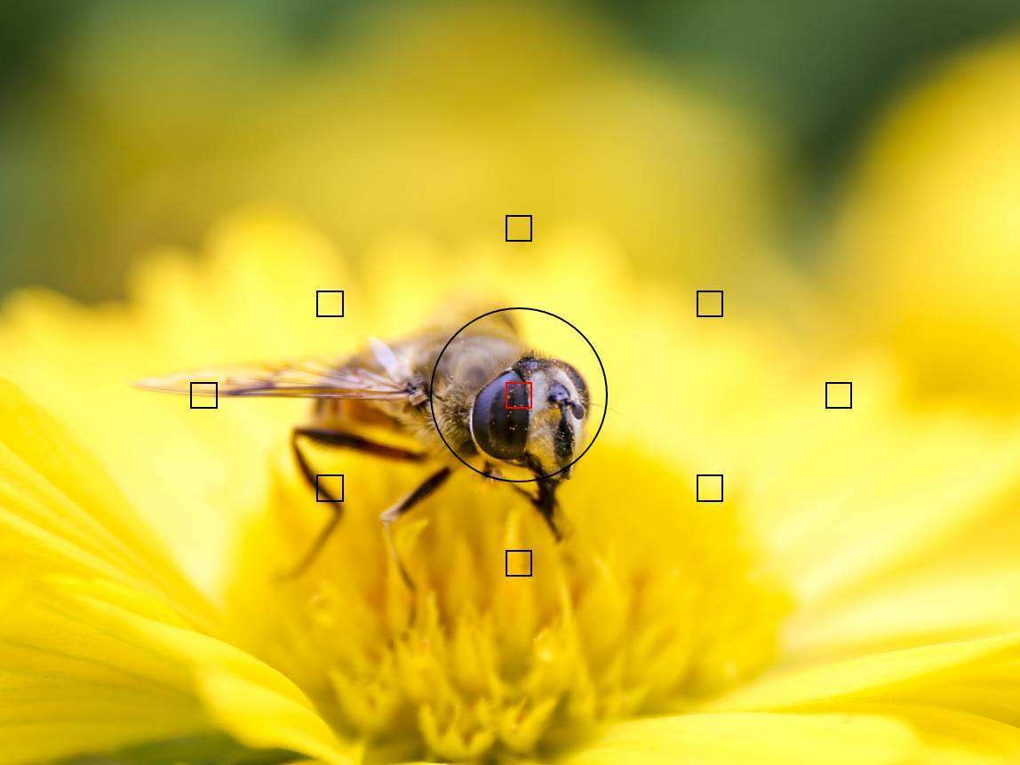 1312174716.jpg timg (18).jpg