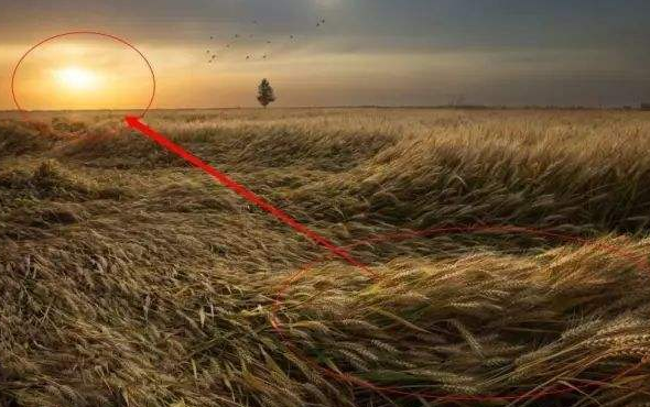 145453912.png 微信圖片_20191029181639.png