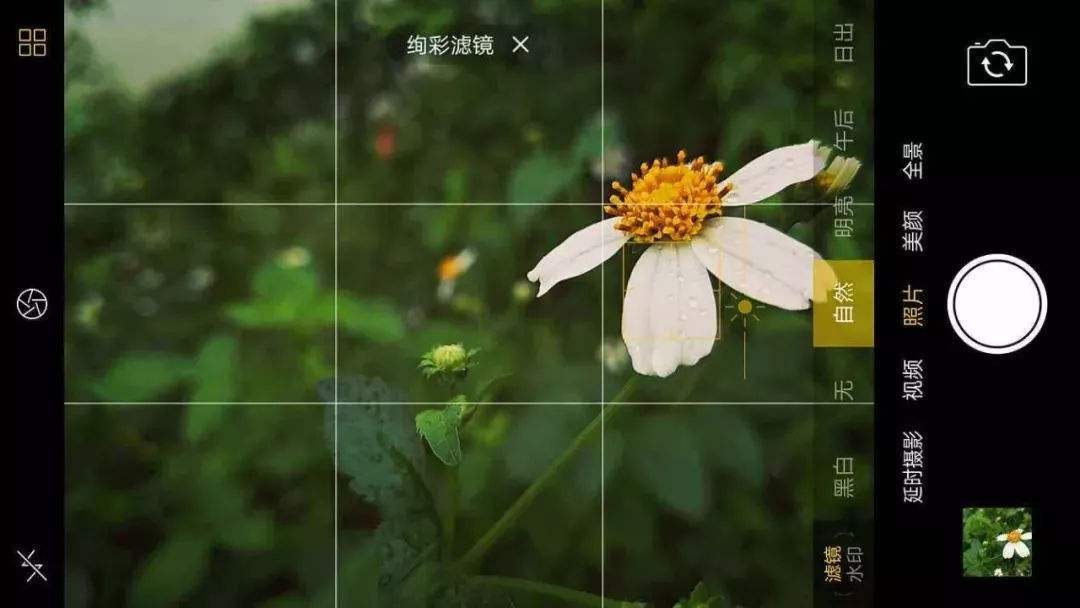 159641297.jpg timg (19).jpg