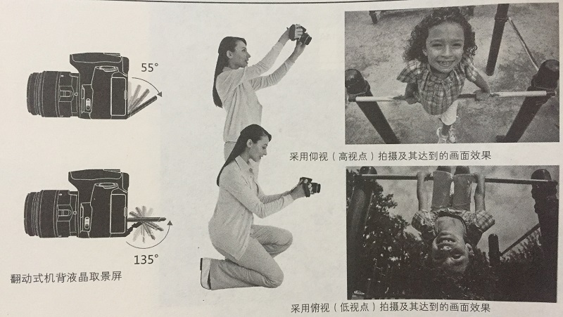 185907358.jpg 12.jpg