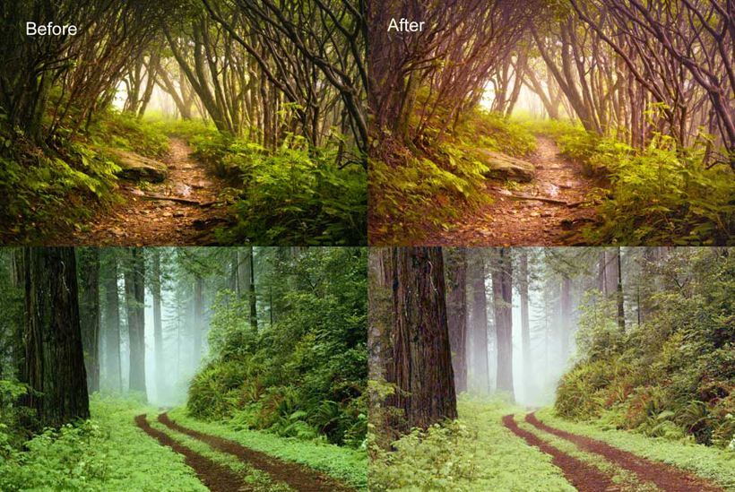 806838835.jpg timg (11).jpg