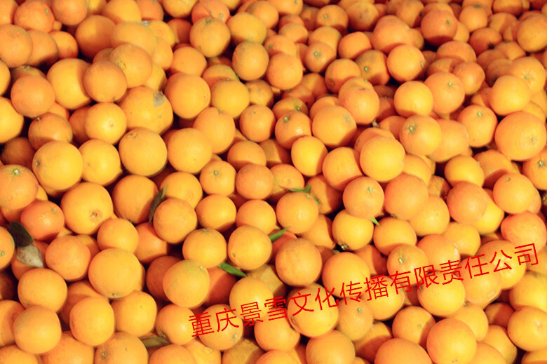 1527193805.jpg 55fa306111782.jpg