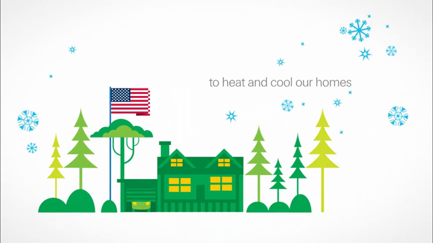 1386798528.jpg 2.jpg