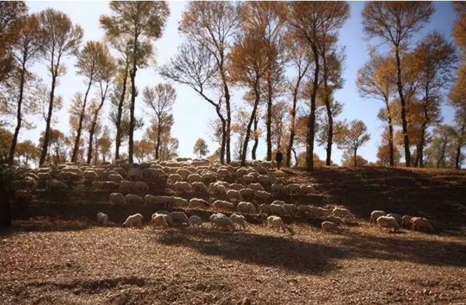 1534676148.png 1V`H)_6}(~GUF0FSHAP(WGN.png