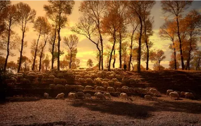 42868756.png %%AJ[X(A{`7NMELV)$N6_@M.png