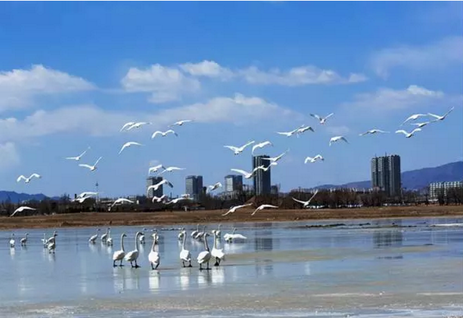 931179836.png FL6VBD_YS~5)S3Q[789E7LL.png