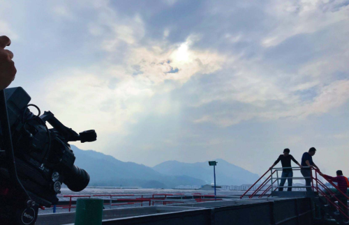 1558046475.png QQ截圖20191202141923.png