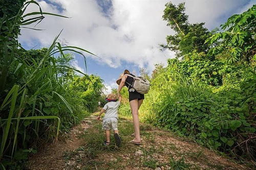 1403148790.jpg u=509453384,2052551886&fm=15&gp=0.jpg