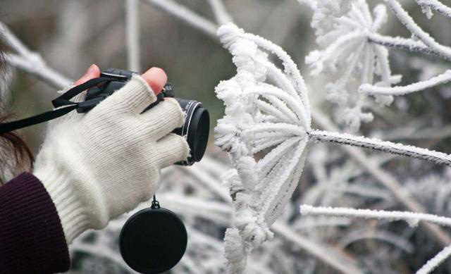 6b480877a4484b3dbe03385e03dece26.png 6b480877a4484b3dbe03385e03dece26.png