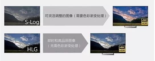 145820105.png 圖片11.png