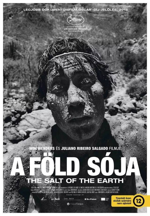 648946894.jpg 78340196_2.jpg