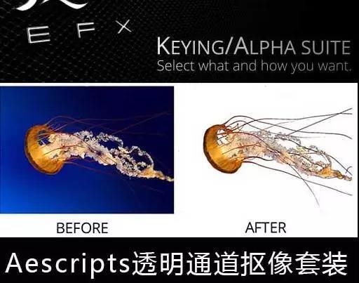 1051337741.jpg 微信圖片_20180613163002.jpg