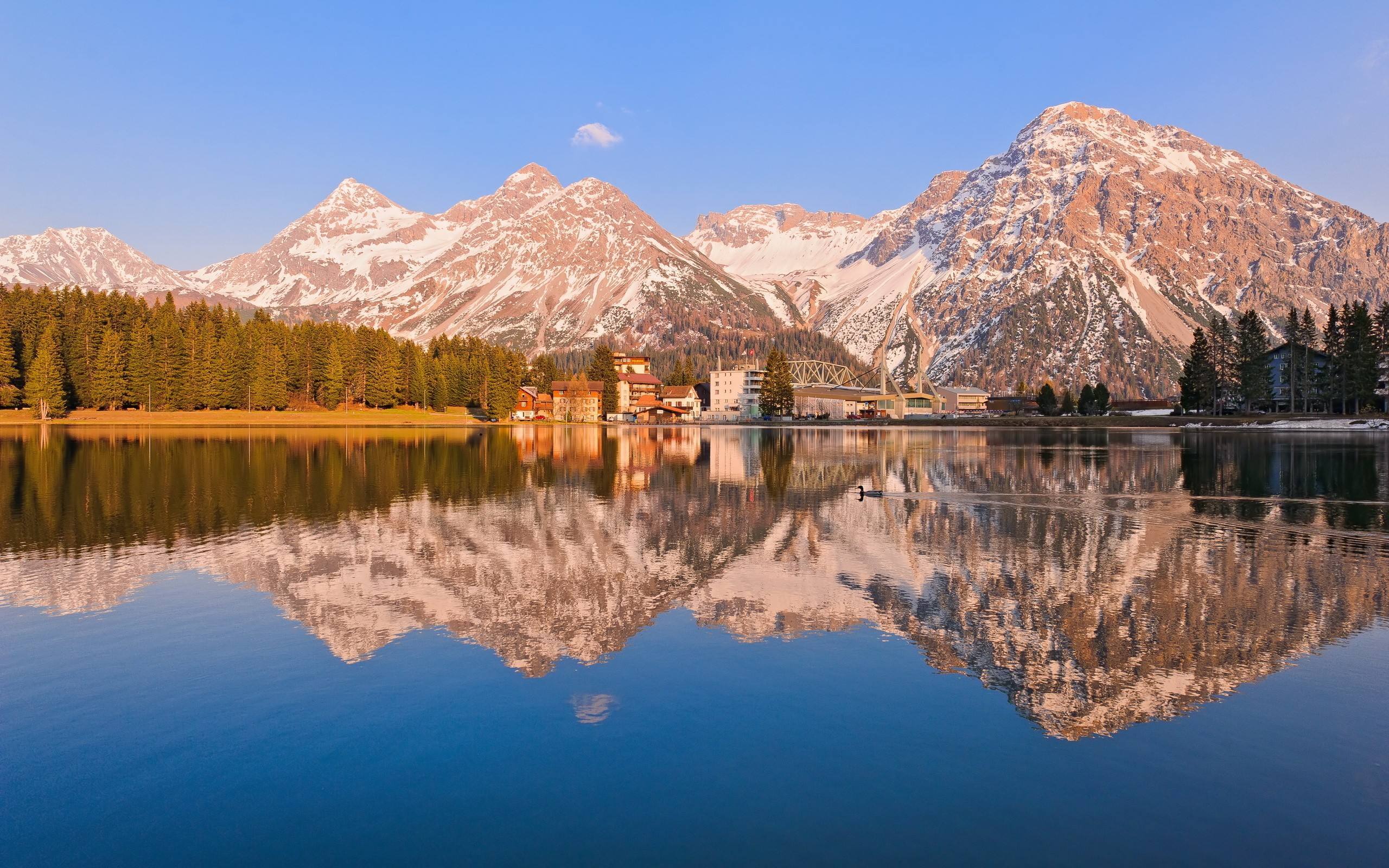 1141792266.jpg timg (1).jpg