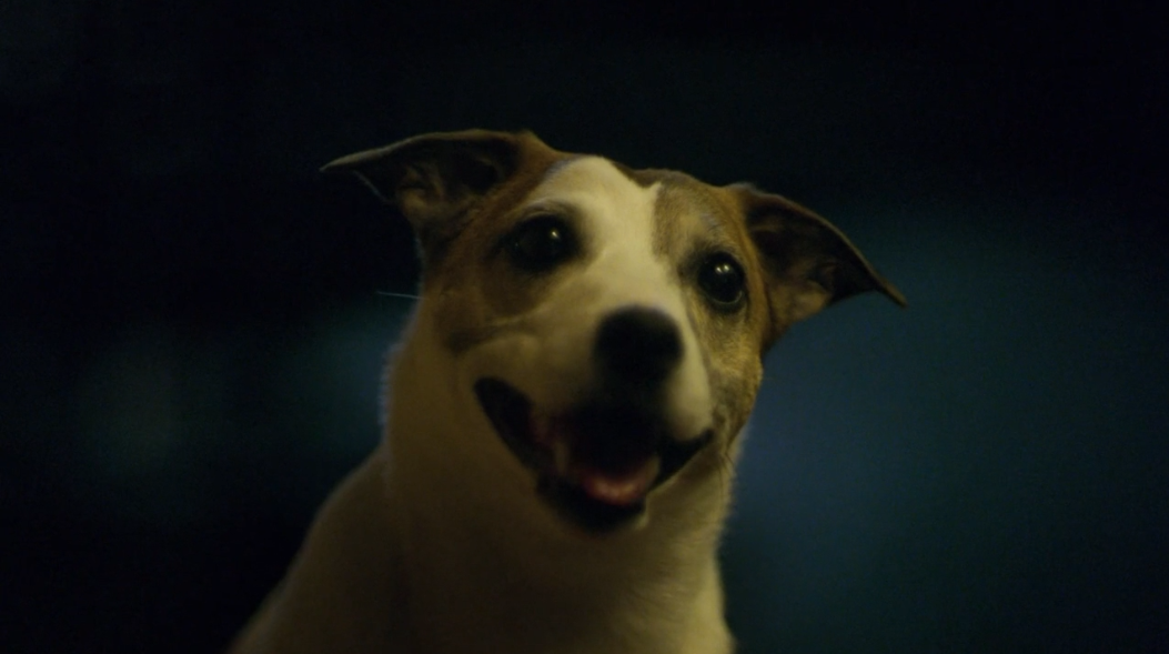 1354856872.png QQ截圖20180517105414.png