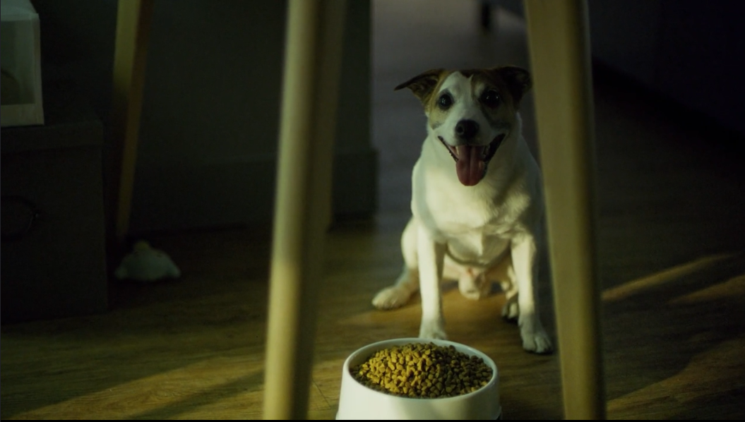 1406427102.png QQ截圖20180517104904.png