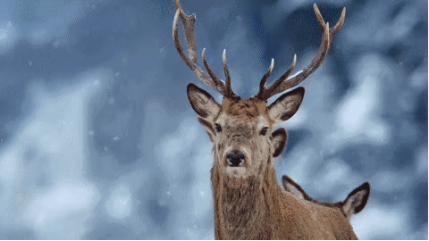 1390648953.gif 2.gif