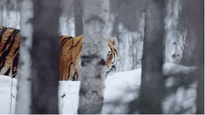 1440386329.gif 3.gif