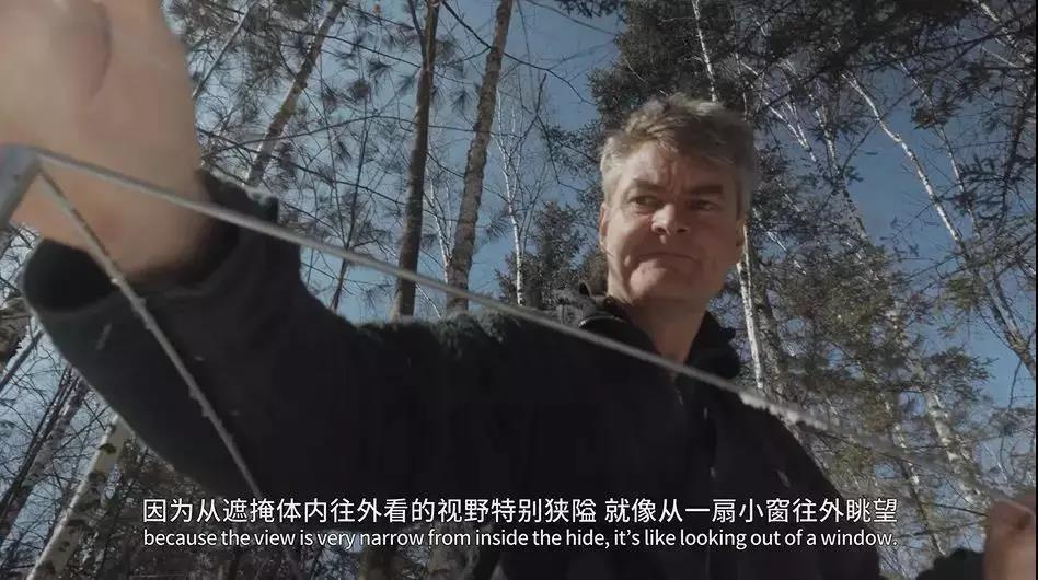 437632635.jpg 14.jpg