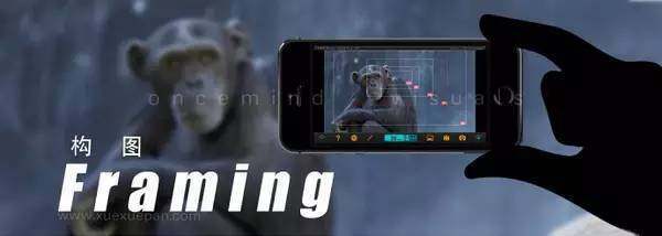 73583757.jpeg 1.JPEG