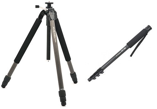 微距攝影入門知識和技巧 微距攝影入門知識和技巧