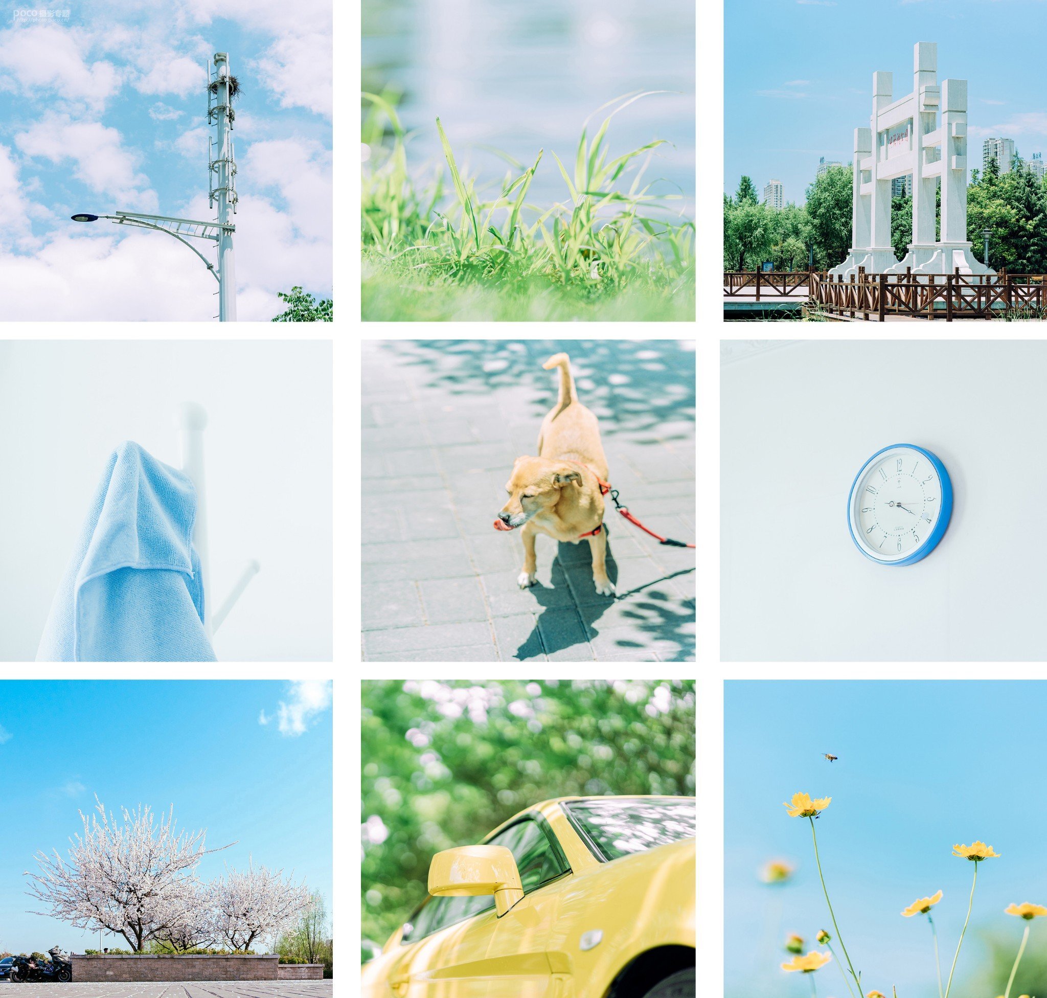 清新類靜物攝影的前后期系統教學 清新類靜物攝影的前后期系統教學