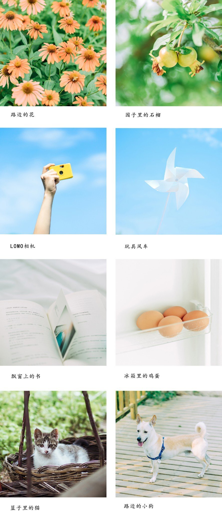 清新類靜物攝影的前后期系統教學 清新類靜物攝影的前后期系統教學