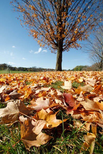 讓你成為合格戶外攝影師八個訣竅 讓你成為合格戶外攝影師八個訣竅