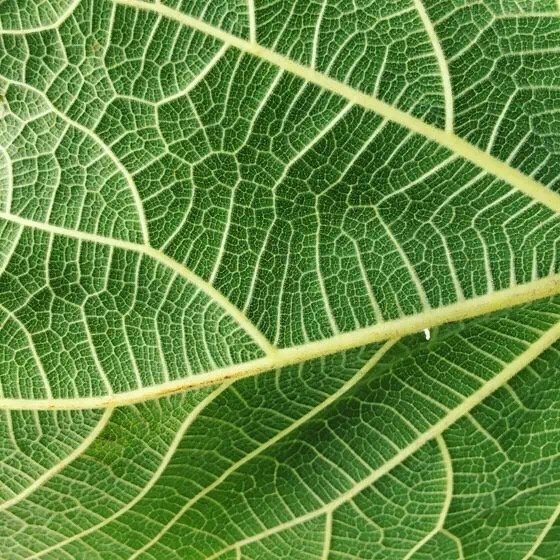 10個簡單技巧就能拍出高逼格 10個簡單技巧就能拍出高逼格