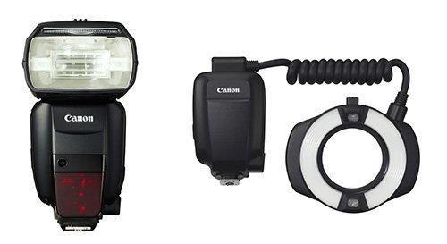 微距攝影入門知識和技巧 微距攝影入門知識和技巧