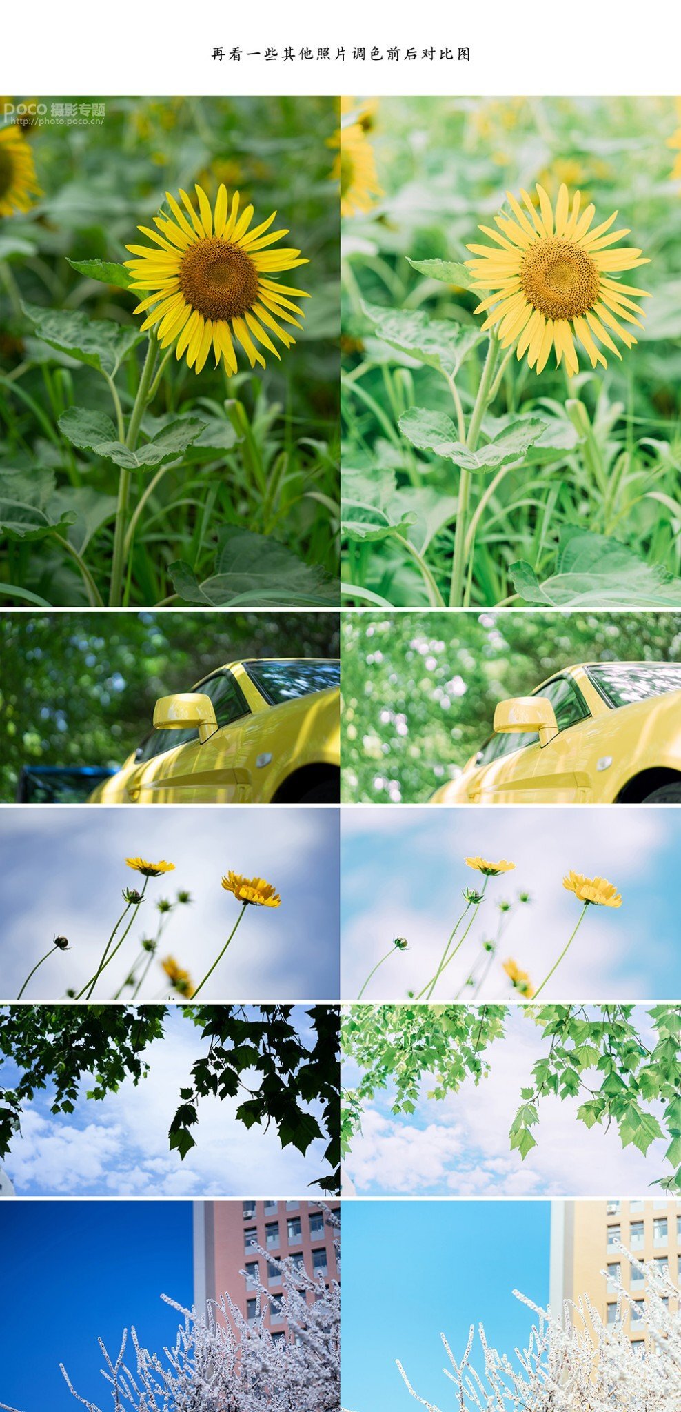 清新類靜物攝影的前后期系統教學 清新類靜物攝影的前后期系統教學