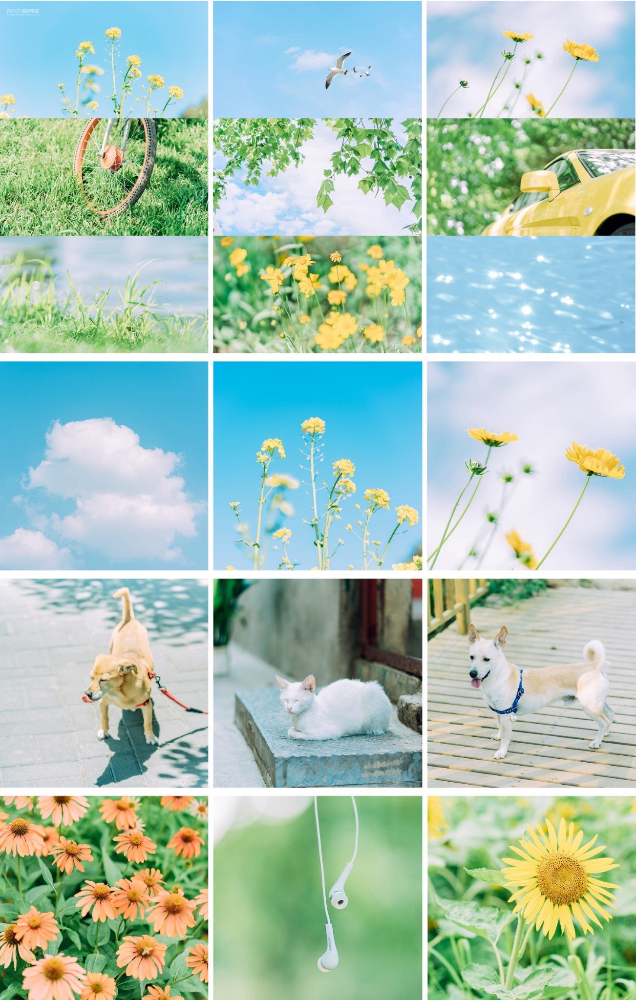 清新類靜物攝影的前后期系統教學 清新類靜物攝影的前后期系統教學