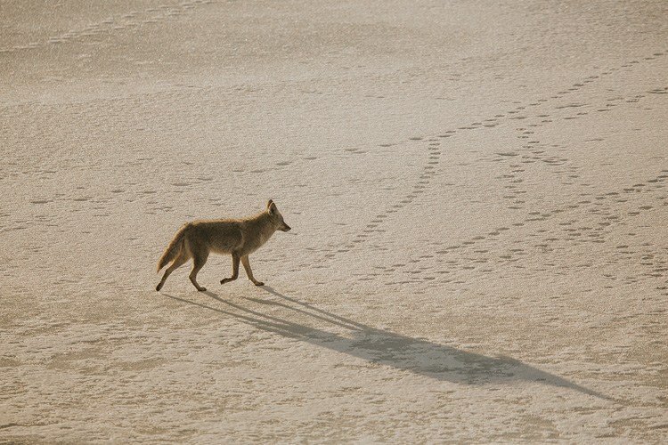讓你成為合格戶外攝影師八個訣竅 讓你成為合格戶外攝影師八個訣竅