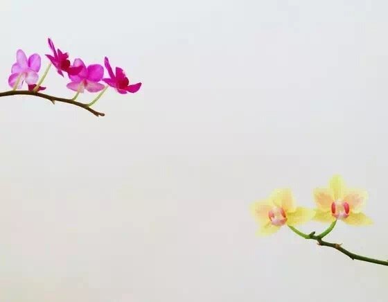 10個簡單技巧就能拍出高逼格 10個簡單技巧就能拍出高逼格